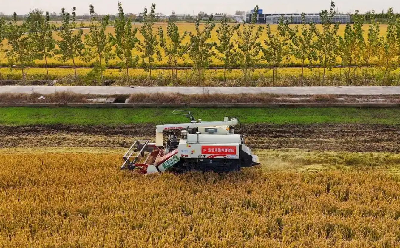 微信截图_20250702143413.png 微信截图_20250702143413.png